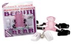 Remote Control Teddy Bear