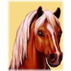 Pony Play Kit 2