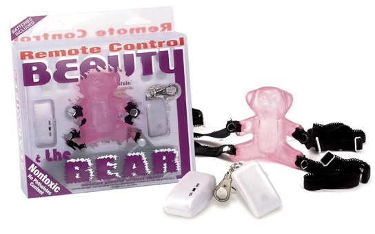 Remote Control Teddy Bear