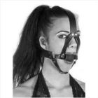 Ball Gag with Head Harness